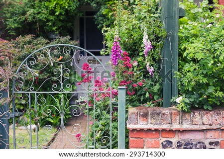 Fence and garden with flowers on a summer day
