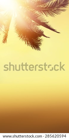 Golden tropical banner background. Sunset over the ocean. Coconut palm silhouette. Vertical view.