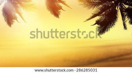 Golden beach tropical banner background. Coconut palm tree, sunlight and sunset over the sea. Panoramic view.