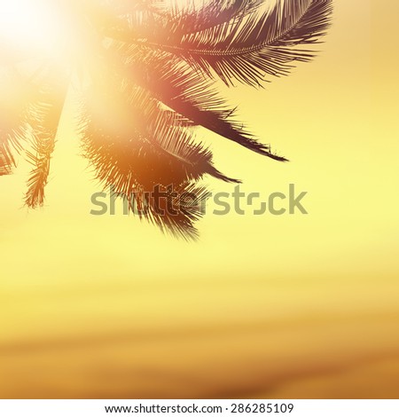 Golden beach tropical banner background. Coconut palm tree, sunlight and sunset over the sea.