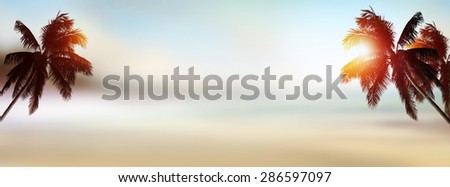 Sunset banner background. Tropical beach with coconut palm tree.