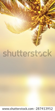 Tropical banner design background. Coconut palm tree, sunlight and blurry ocean. Vertical view.