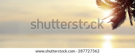 Shiny tropical design banner background. Coconut palm tree over blurry ocean at sunrise.