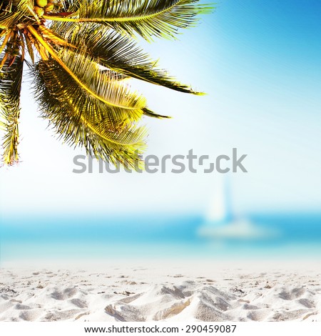 Tropical landscape with coconut palm tree, white sand beach and blurry ocean. Design banner background.