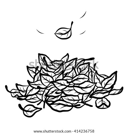 fallen leaves / cartoon vector and illustration, black and white, hand drawn, sketch style, isolated on white background.