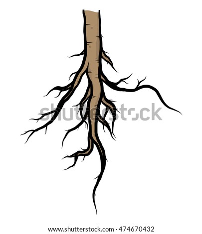 Vector Images, Illustrations and Cliparts: tree root / cartoon vector