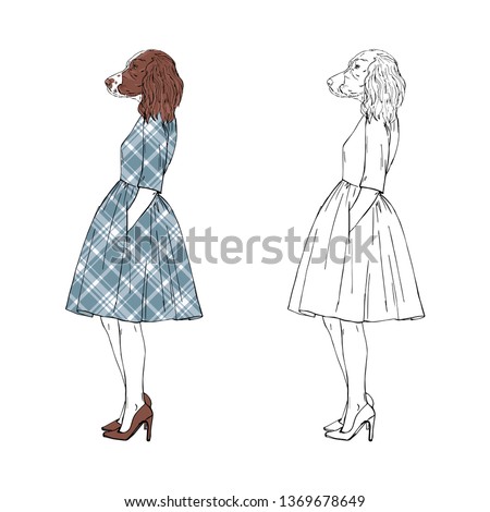 Humanized Springer Spaniel dog girl hipster dressed up in retro dress. Hand drawn vector illustration. Furry art image. Anthropomorphic animal.