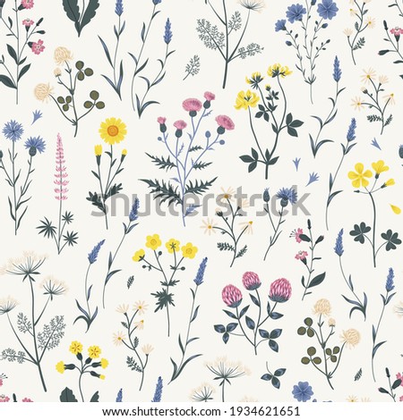 Meadow wildflower seamless vector pattern. Boho botanical floral background. Delicate field flower and herb illustration.