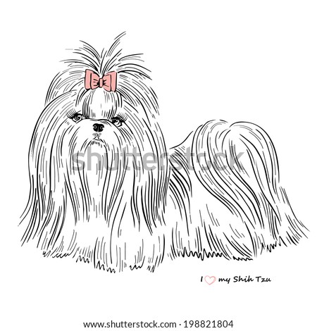 Hand Drawn Sketch Of Shih Tzu Dog Girl Stock Vector Illustration ...