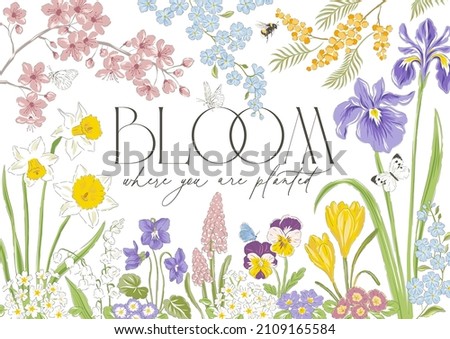 Spring blossom flower butterfly hand drawn vector illustration. Bloom where you are planted phrase. Vintage delicate romantic nature print poster card. Foto d'archivio © 