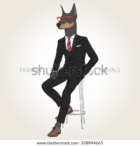 Doberman Pinscher Dog Dressed Up In Black Suit Sitting On The Chair ...