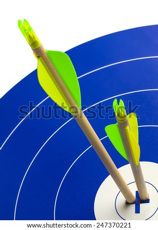 Two Wood Arrows in Center of Blue and White Target.