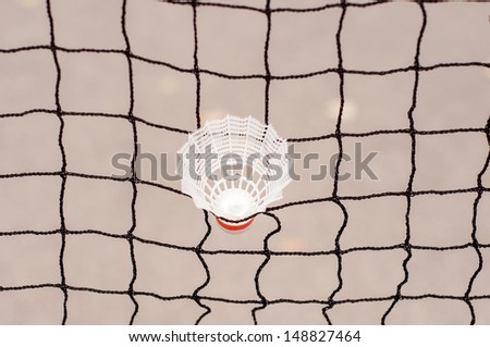 Shuttlecock captive in a badminton net