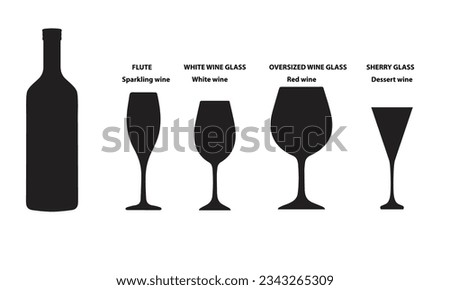 Four types of different wine glasses in which you can drink different types of wine