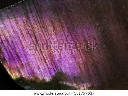 Closeup background picture of rare purple labradorite gem stone.