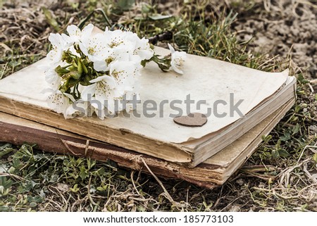 old closed books with heart and twig with cherry blossoms on ground - love theme with vintage color effect