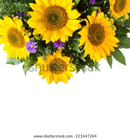 Sunflower bouquet with copy space on white background