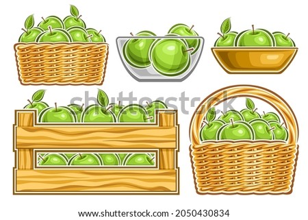 Vector set of Green Apples, lot collection of cut out illustrations whole natural apples in glass bowl, green fruits in cartoon design clay dishes and straw basket with handle on white background.
