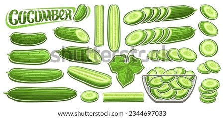 Vector Cucumber Set, collection of cut out cartoon design vegetarian still life compositions, farmer juicy cucumbers in glass dish, set of various whole veggies and text cucumber on white background