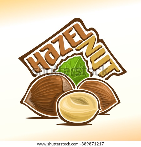 Vector illustration on the theme of the logo for hazelnut nuts still life composition, consisting of peeled half hazelnut nutlet and two nuts in the nutshell and green leaf in the background