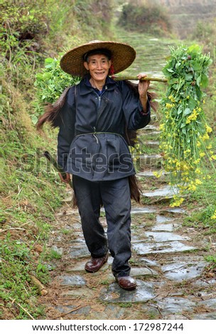 GUANGXI, CHINA - APRIL 3, 2010:  One unknown, an old Asian man,  villager, peasant farmer down mountain trail in  countryside south western China, and carries on bamboo stick, bunch of blooming grass.