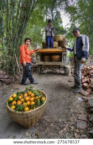 Yangshuo, Guangxi, China - March 29, 2010: Farm workers unload a basket with harvest ripe freshly picked oranges from an old truck. Spring in the southern China province of Guangxi.