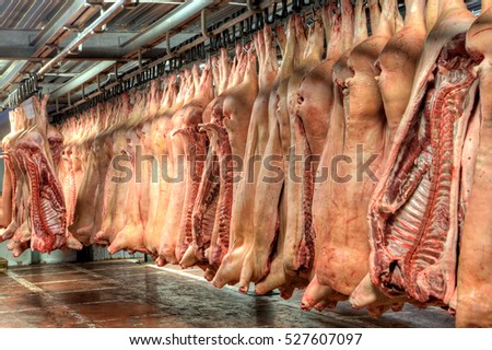 Pork carcasses rest in hooks hanging from the ceiling at warehouse. Сток-фото © 