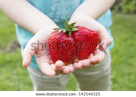 giant fresh strawberry kept in kid\'s hands