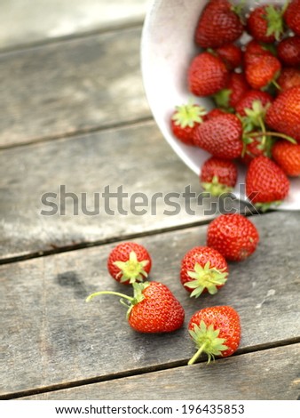 strawberries harvest