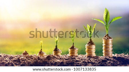 Growing Money - Plant On Coins - Finance And Investment Concept Foto d'archivio © 