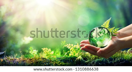 Hands Holding Globe Glass In Green Forest - Environment Concept - Usa elements of this image furnished by NASA
 Stockfoto © 