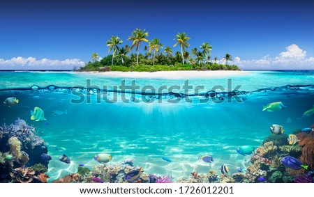 Tropical Island And Coral Reef - Split View With Waterline 商業照片 © 