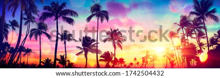 Similar – Image, Stock Photo Tree silhouettes at sunset