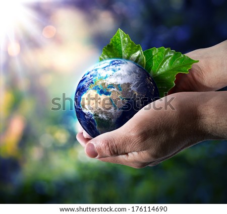 world in hand - environment concept