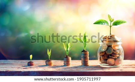 Plants On Money In Increase With Flare Light Effects - Money Growth Concept 商業照片 © 