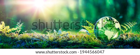 Environment Concept - Globe Glass In Green Forest With Sunlight Foto stock © 
