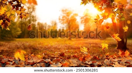 Similar – Image, Stock Photo Autumnal trees at a small lake are reflected in the water. Falling leaves of different colours lie under the trees and in the water