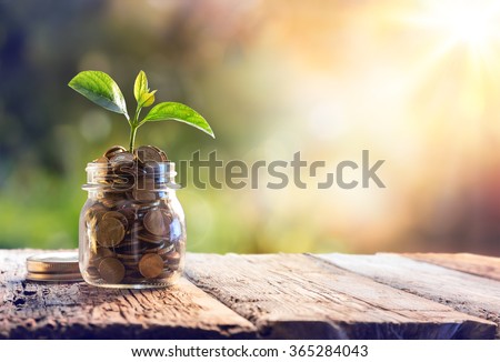 Plant Growing In Savings Coins - Investment And Interest Concept
 Stock foto © 