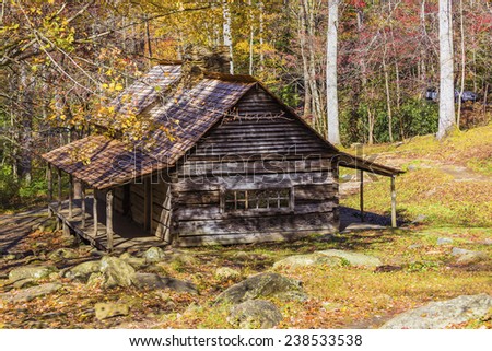 A rustic cabin surrounded by trees with fall leaves.