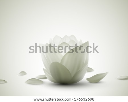 Lotus Flowers