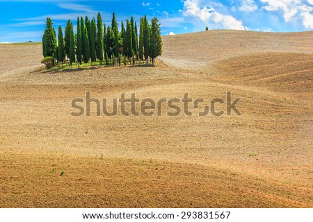 Farmland rural landscape and,cypress trees in Tuscany near San Quirico d\'Orcia,Italy,Europe