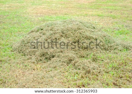 Grass yard waste on field
