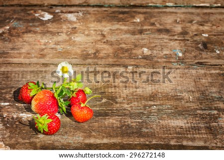 Strawberry close-up. freshly picked strawberries countryside . Rural texture . Focus on a flower