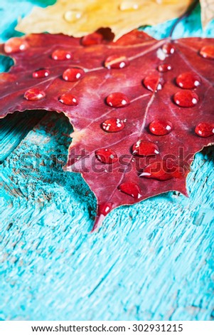 autumn leaves on a beautiful board. wet leaves after a rain. October and November leaves . background for photos . water drops. there is a place for an inscription. closeup