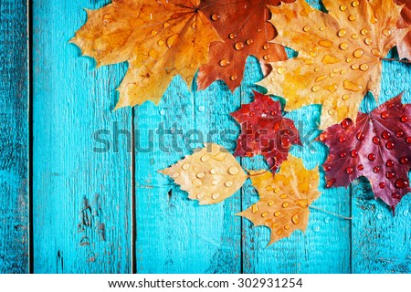 autumn leaves on a beautiful board. wet leaves after a rain. October and November leaves . background for photos . water drops. there is a place for an inscription