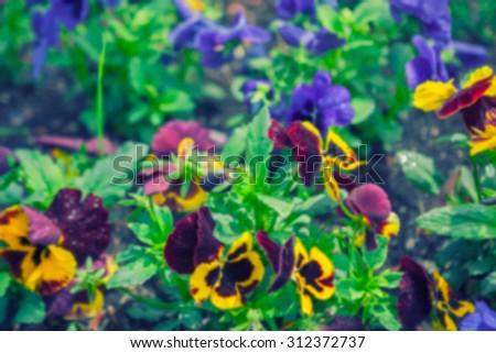 Artistic style - Defocused blurred forget-me-not flowers background, perfect background for text or image