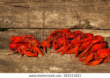 Cancers to beer, dill, boiled crawfish, beer snacks, pub, texture, crayfish, sea crayfish