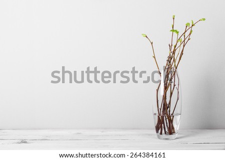 still life with spring branches