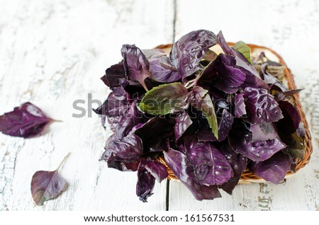 Fresh purple basil