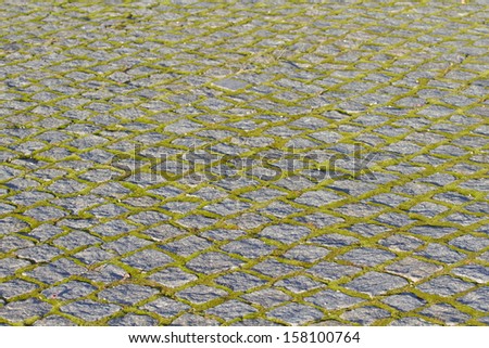 Background of granite stone and moss.
